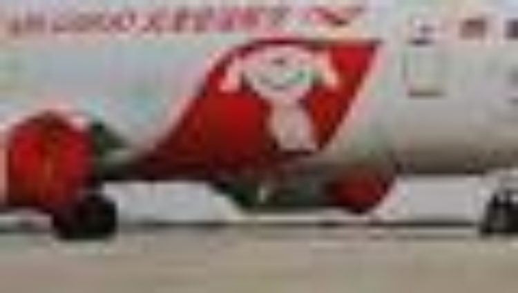 JD.com launches dedicated air cargo operation to increase delivery speed – Air Cargo News