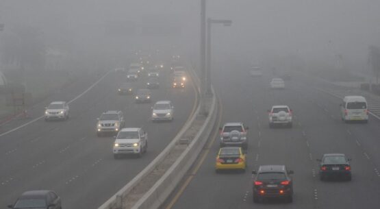 Fog causes accidents involving 68 vehicles in Abu Dhabi