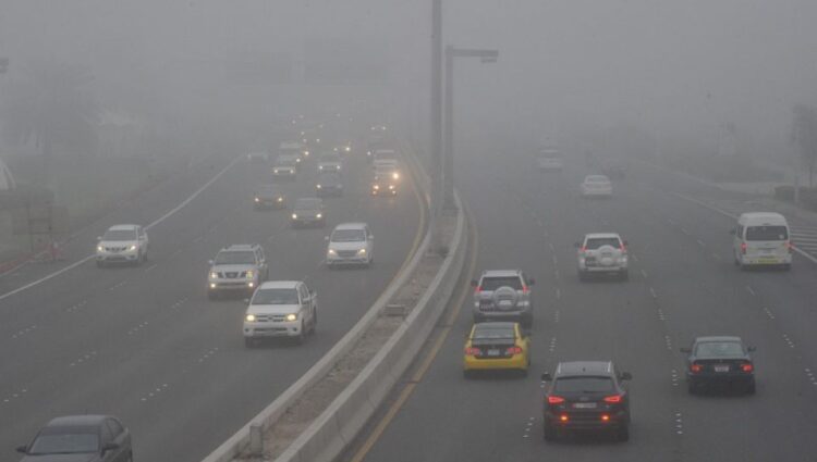 Fog causes accidents involving 68 vehicles in Abu Dhabi