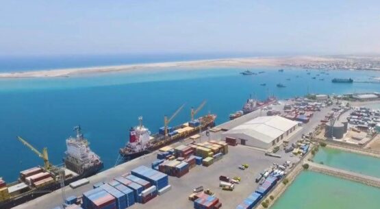 DP World invests $12m to improve ops at Somaliland port