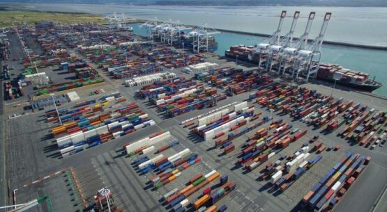 DP World JV wins concession for French port expansion