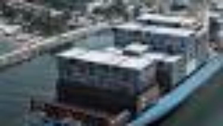 Maersk Honam tragedy triggers safety review – The Maritime Standard