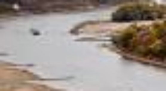 Cry me a river: Low water levels causing chaos in Germany – WTOC