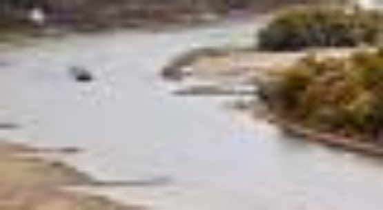 Cry me a river: Low water levels causing chaos in Germany – Coeur d’Alene Press