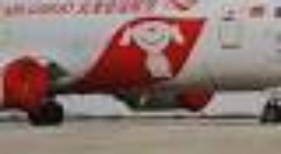 JD.com launches dedicated air cargo operation to increase delivery speed – Air Cargo News