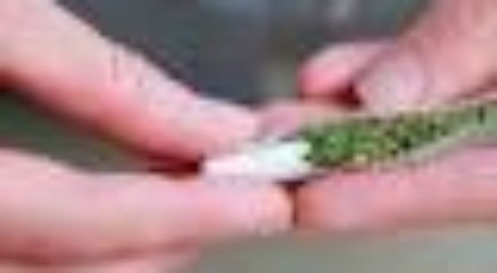 Grand Haven Township plans to ban pot businesses – WZZM13.com
