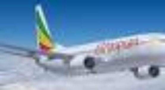 Ethiopian Air eyes $2bn cargo revenue by 2025 – Daily Trust