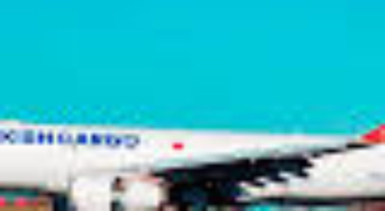 Turkish Cargo on the up – Air Cargo News