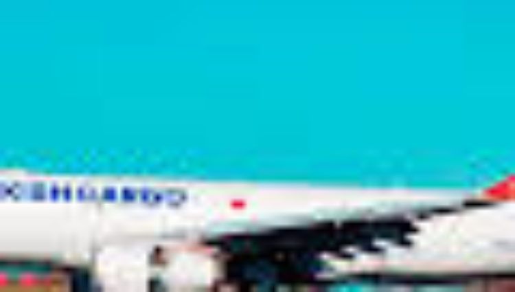 Turkish Cargo on the up – Air Cargo News