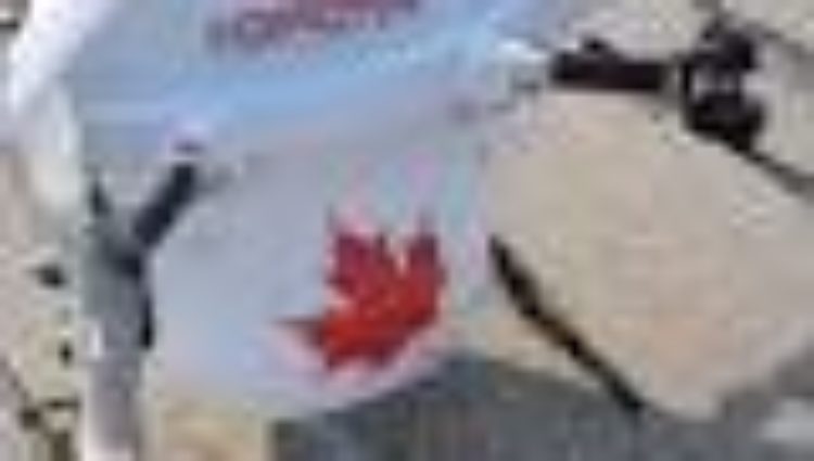 Air Canada Cargo’s Tim Strauss Joins Drone Delivery Canada’s Advisory Board – sUAS News
