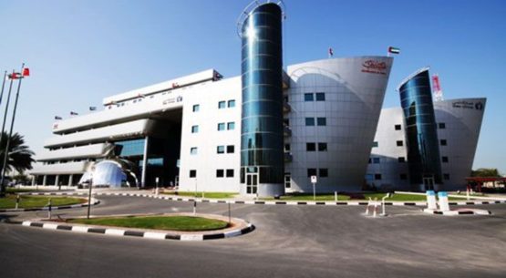 Dubai Customs foils 922 smuggling attempts in 2018