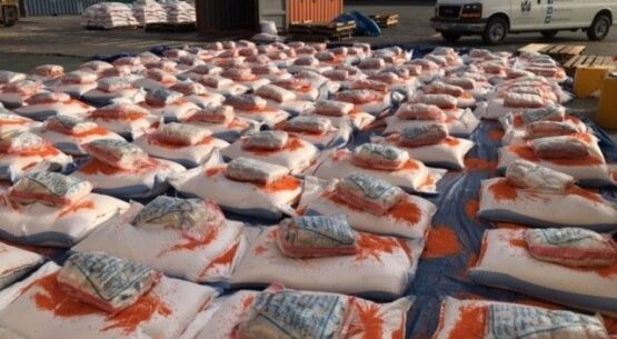 Dubai sniffer dogs help seize over 5.7m Captagon pills