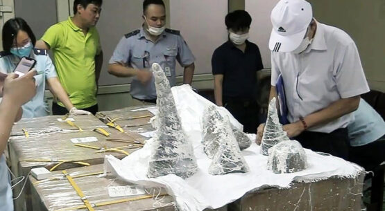 Vietnamese authorities seize illegal rhino horns from Abu Dhabi flight